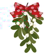 mistletoe-branches-vector