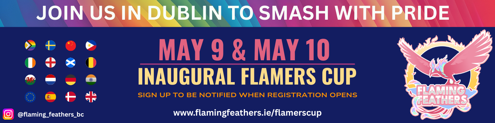 Flamers Cup - Banner (2)